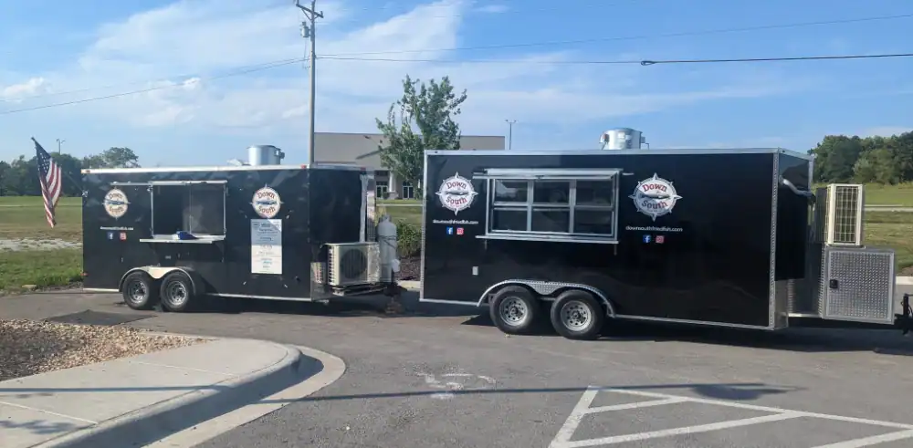 fried-fish-catering-food-truck-springfield-food-truck-down-south-fried-fish