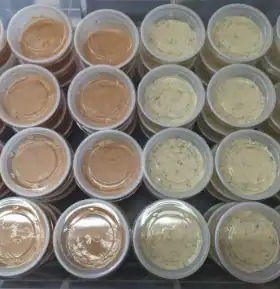 fried-fish-down-south-fried-fish-food-truck-catering-springfield-food-truck